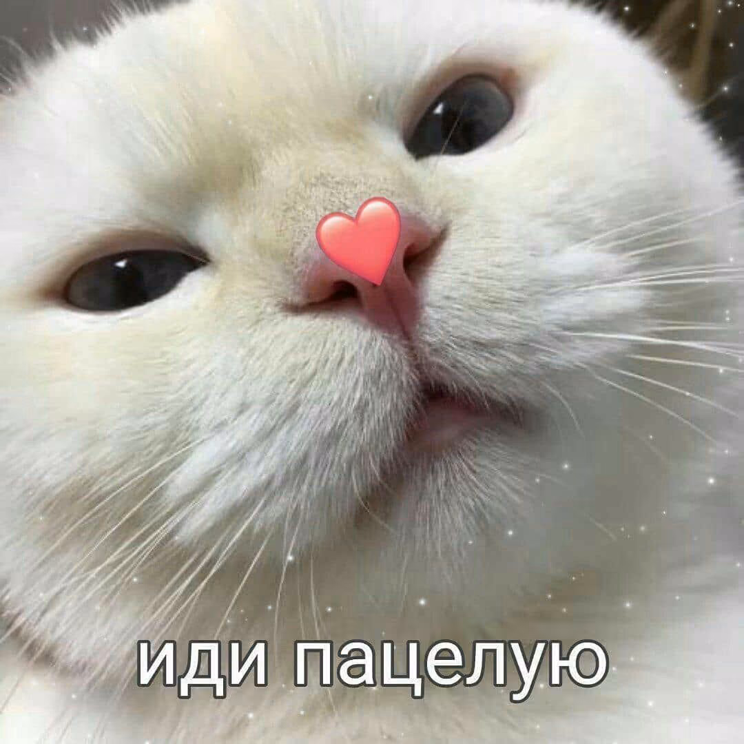 e83577906f8157e8568148b82a02f617.avif