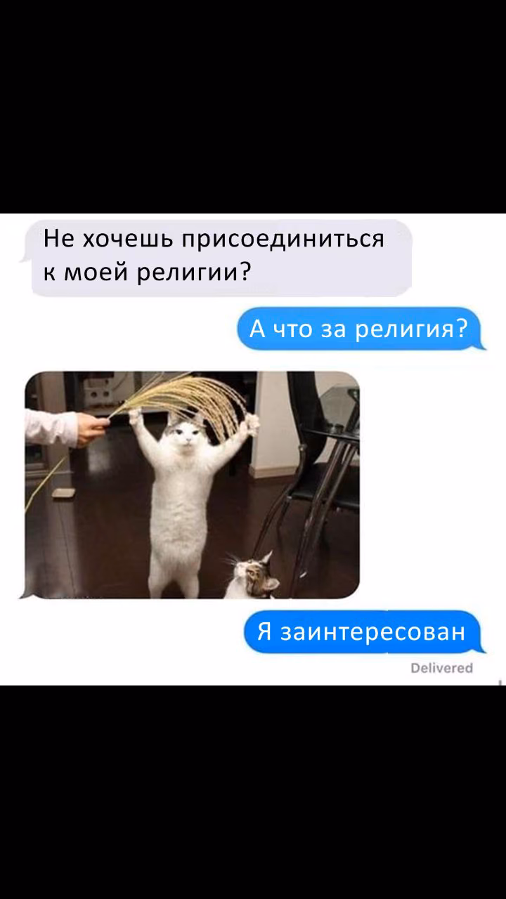 e83de273abdc93f96a24fe62c40433c5.jpg