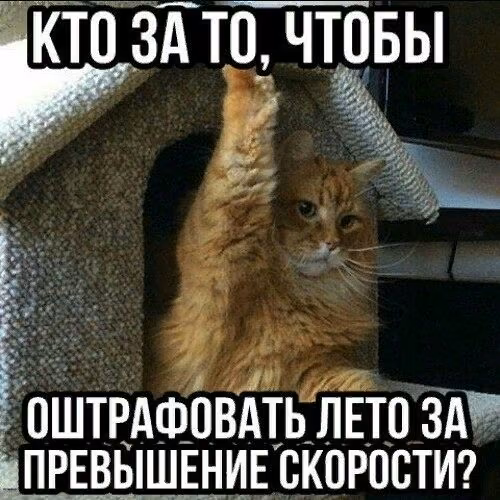 e843851af71bda503f8ad90ff5ea6d53.avif