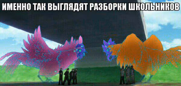 e85e8440a5239119d1704c7cb304e4ec.jpg