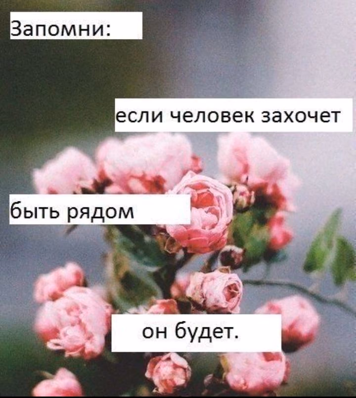 e87c7d47a78ed5ff8ce95fd992954f40.jpg
