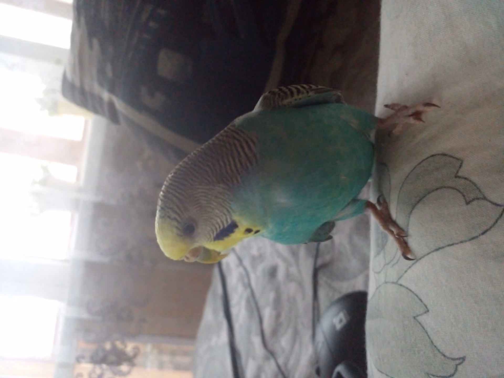 e88f326ae587946b8b5d1f8386124394.avif