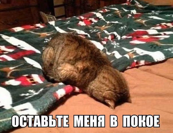 e89aa10b7dfcb95e92970106f84f09b5.avif