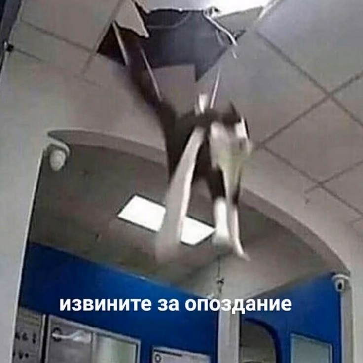 e89e58814bd69102defa5630135b2586.jpg