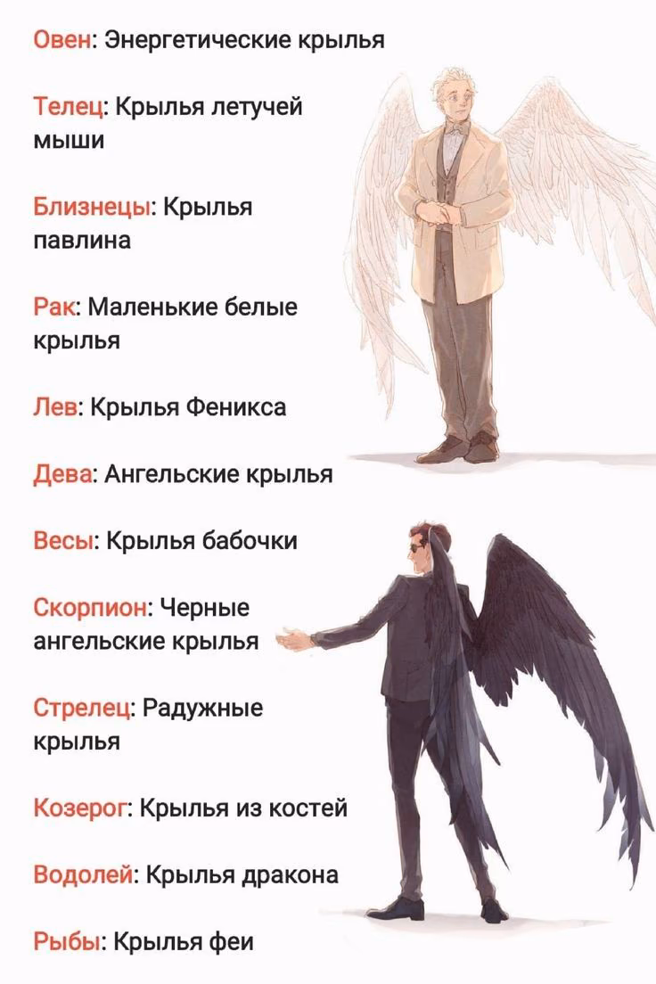 e8ac7796971a5c48fabaa023c9dbae62.jpg