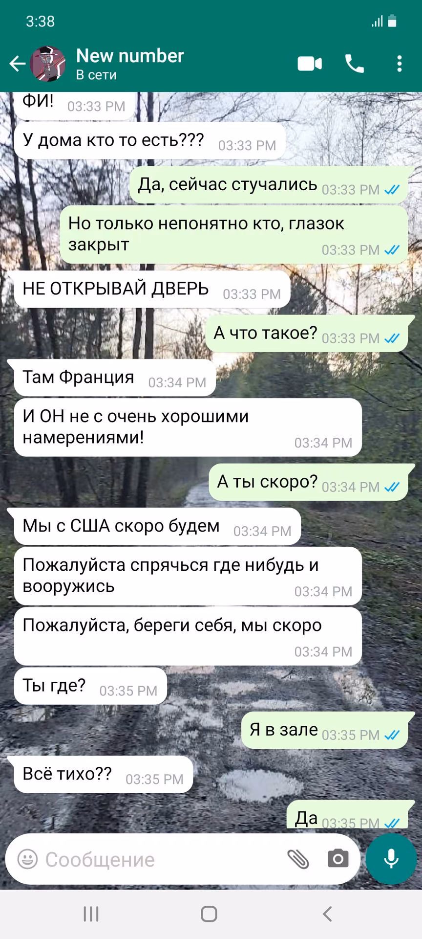 e8b34e76cafd533ea7a40687ac3ad808.avif
