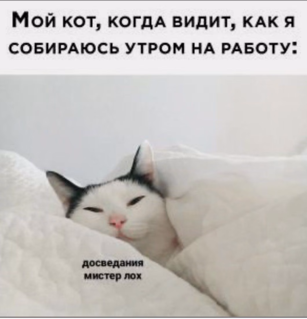 e8d1eb1d6bc1b0fab5cd72c3fcb86825.avif