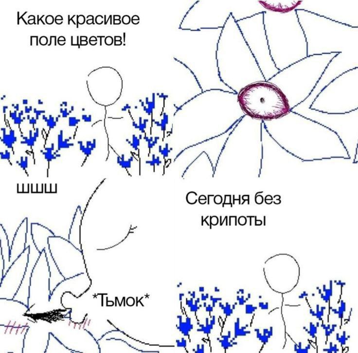 e8d9f96bc70456e80957a8ae975a23b6.jpg