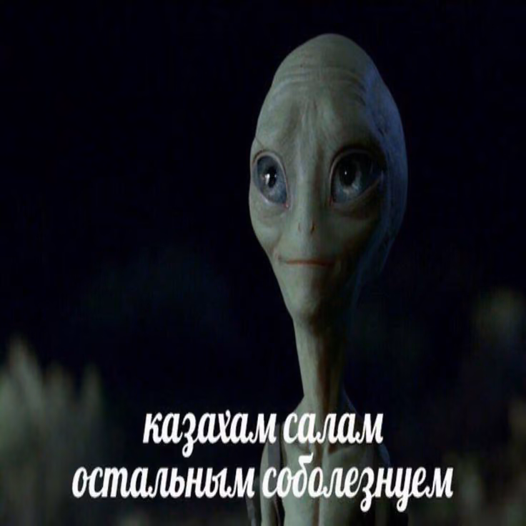 e8deabd18a96a5ecf9ed07238d1f9c2b.jpg