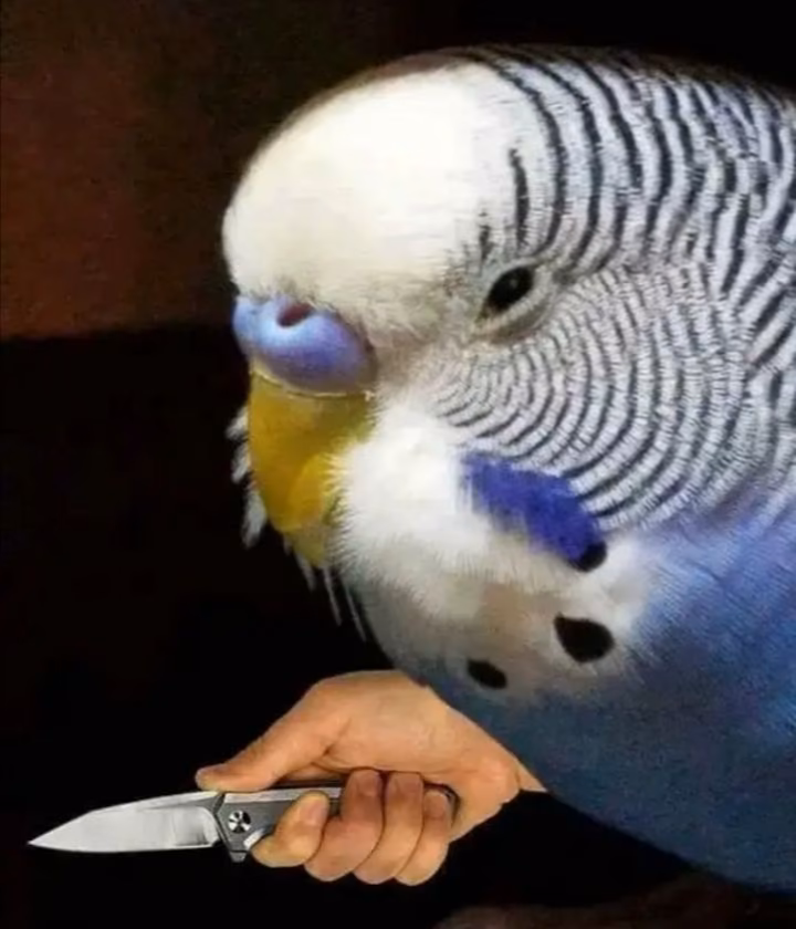 e8e768433aa88c7079cd300892df1a55.avif