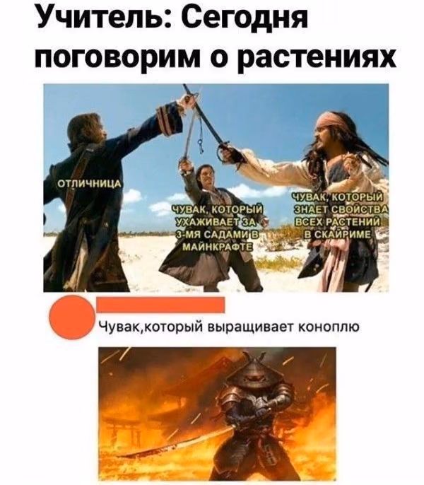 e8e8f1668f6b5a0b1dbaa85335ad3d75.avif