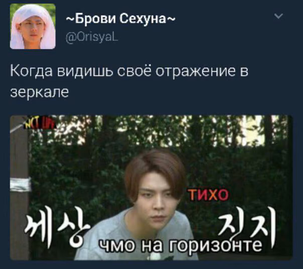 e8ea92372d353e8ac454afbdf3fd2c8b.avif