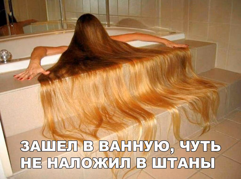 e8eb7c591986b84c1f407b0d1d6f28bf.avif