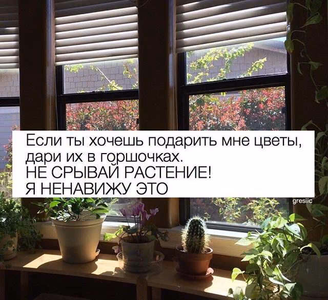 e8ec6883cde9cc5ea72e99764ed70762.jpg