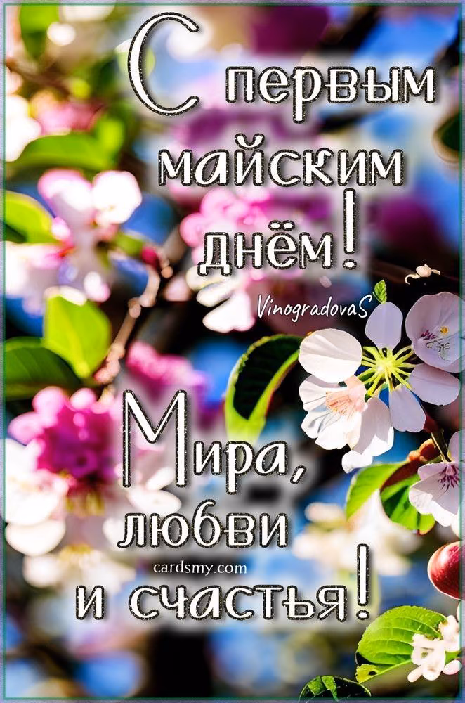 e9007a271901a18e796ea1fb4a419b1f.avif