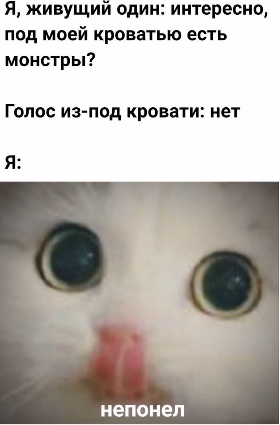e902397b67c2dc5631e15497601de9a6.jpg