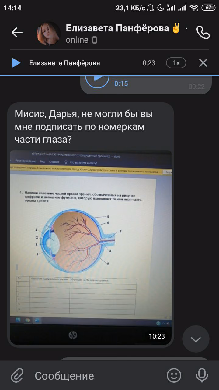 e9154d0e047550c6982739fb4500a1b5.avif