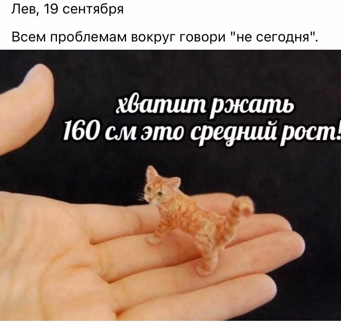 e91e3bcfe324dd2432d7ce90ea4b8e79.jpg