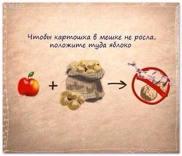 e93e3278f2913a1db108b73f5982f1e9.jpg