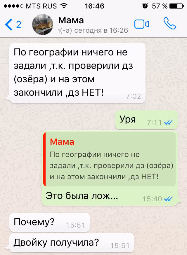 e9586eb3104cea77fe59311e8d8e3aab.avif