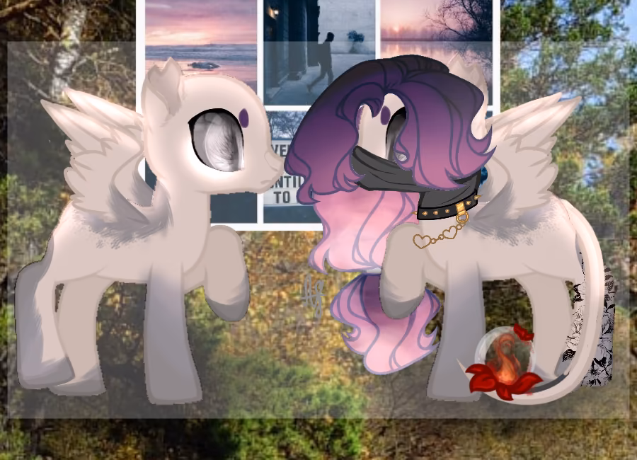 e95b105fb283518bb3d70f1fbd3573bf.jpg