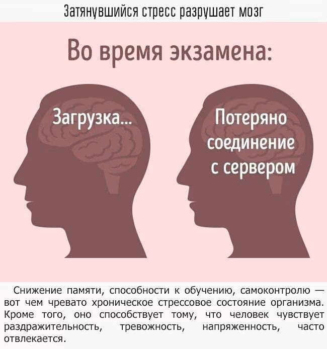 e963032384f464bf9a4d67367f3547da.jpg
