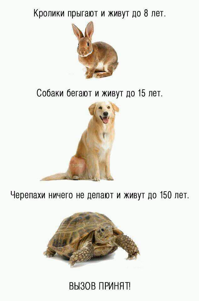 e97276c522591e9300c2cb6d21d58fc9.avif