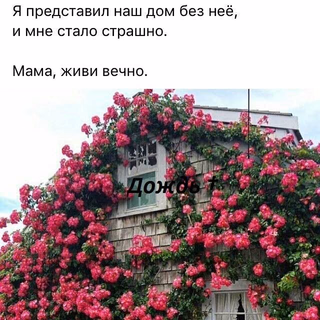 e98155fcf822539d83d867c734ebcdbb.avif