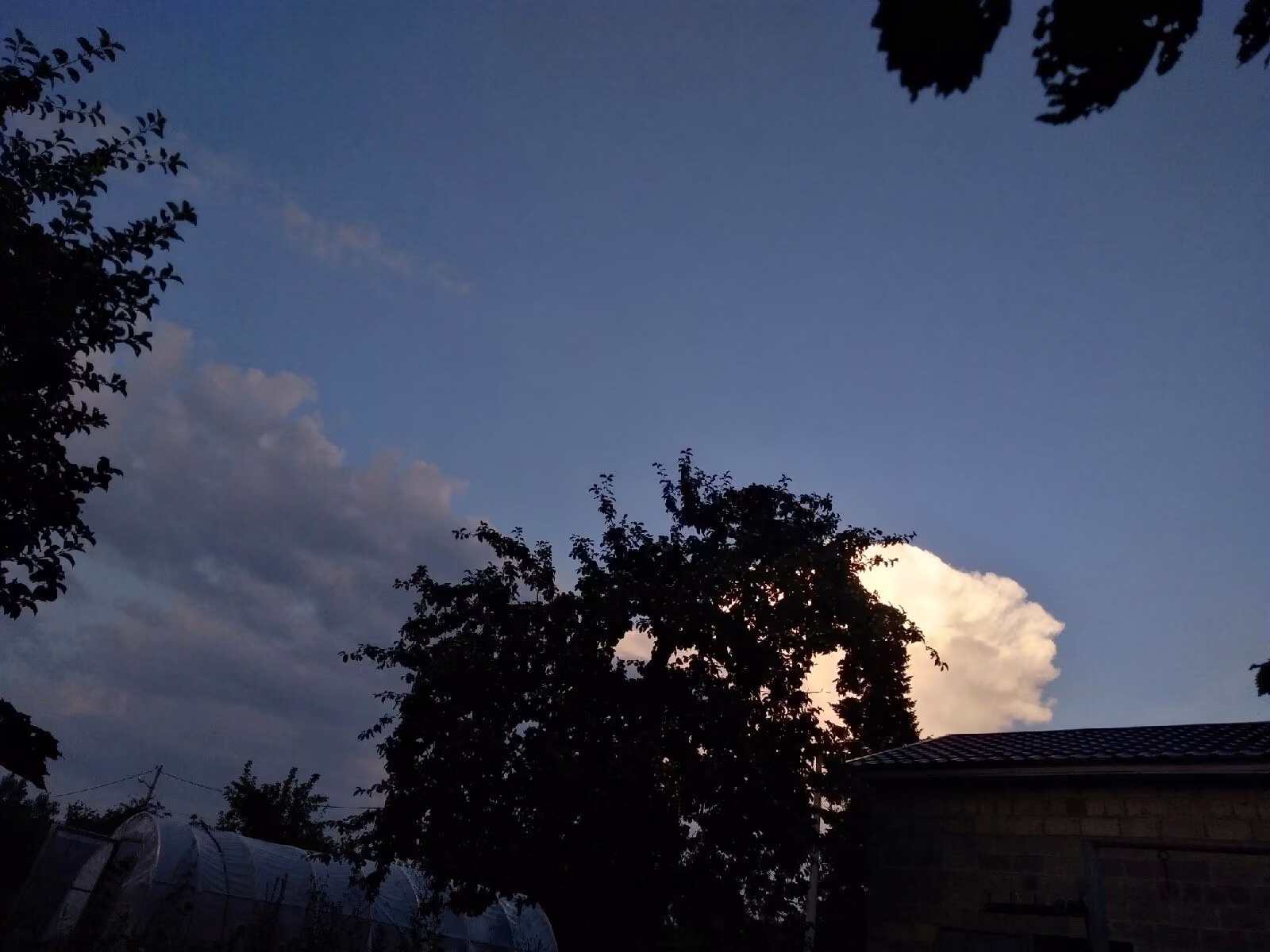 e9853ef45536c0d29fcaa2b5b2004c71.jpg