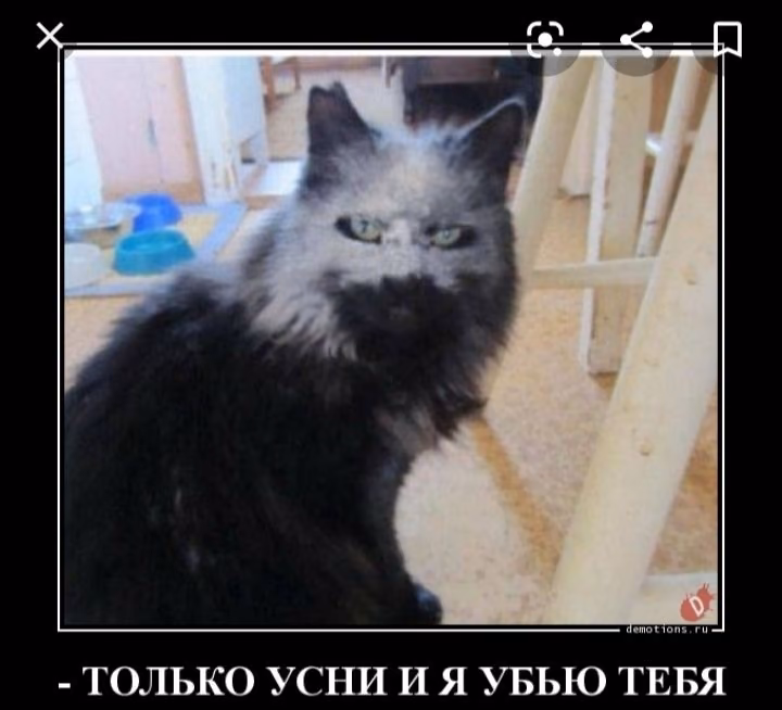 e986e659df832268d1757ea45cf29e3d.avif