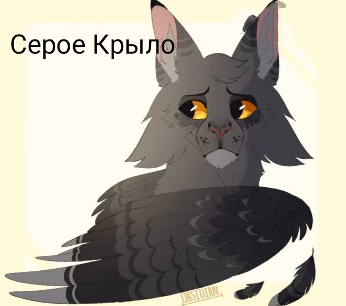 e986ebb41d8c6662e3ba3db1f5e4a50d.avif