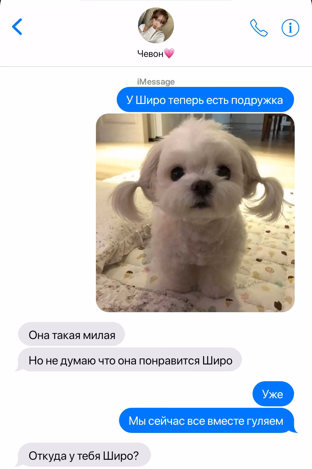e9982ca9fc3dfd367455a28e27786bfb.avif