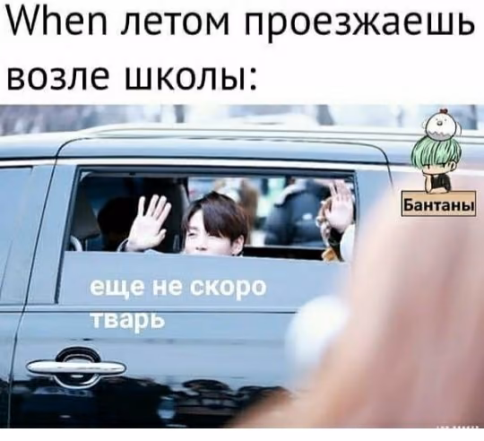 e9b053b3dc772f98bb02d7c0275fae52.avif