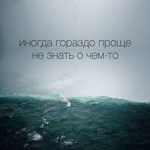 e9ca95699f6e322839521403d39acc5a.jpg