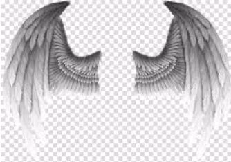 e9d9a1a468e5a4ea9ae7d2878069595d.avif