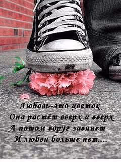 e9f5db79c1663d63d8d23d830bf471f2.avif