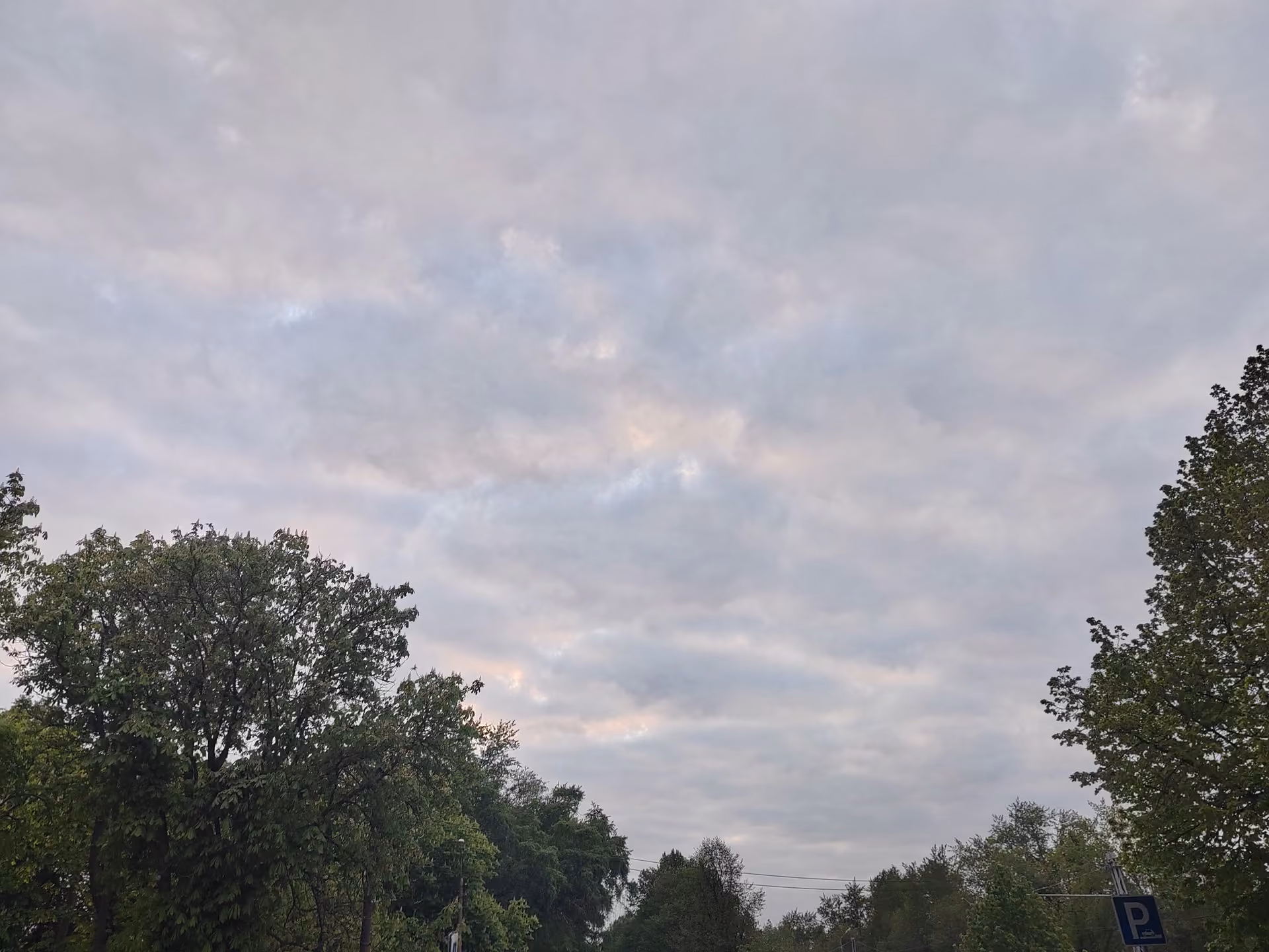 e9fb279c8634a3327251a27c48729bf4.jpg