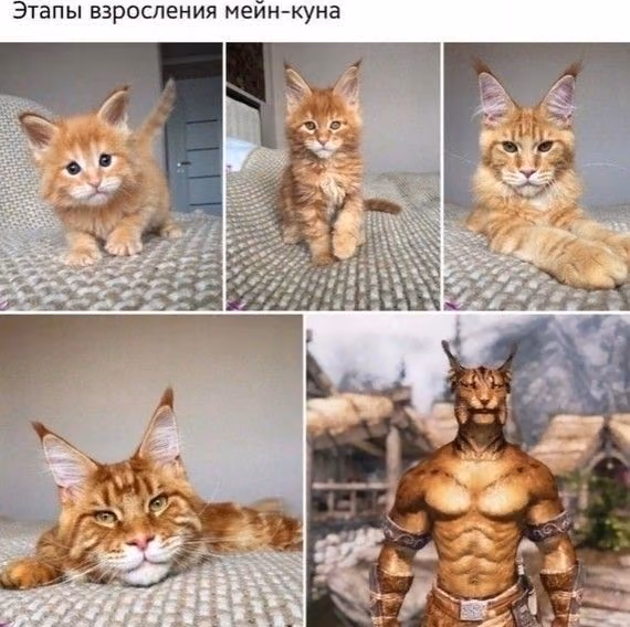 ea06e4874fa2fbbe07317e664b9bfb42.jpg