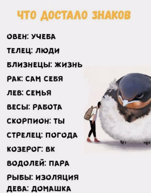 ea24412d97e77ec6b25c13180086e06c.avif