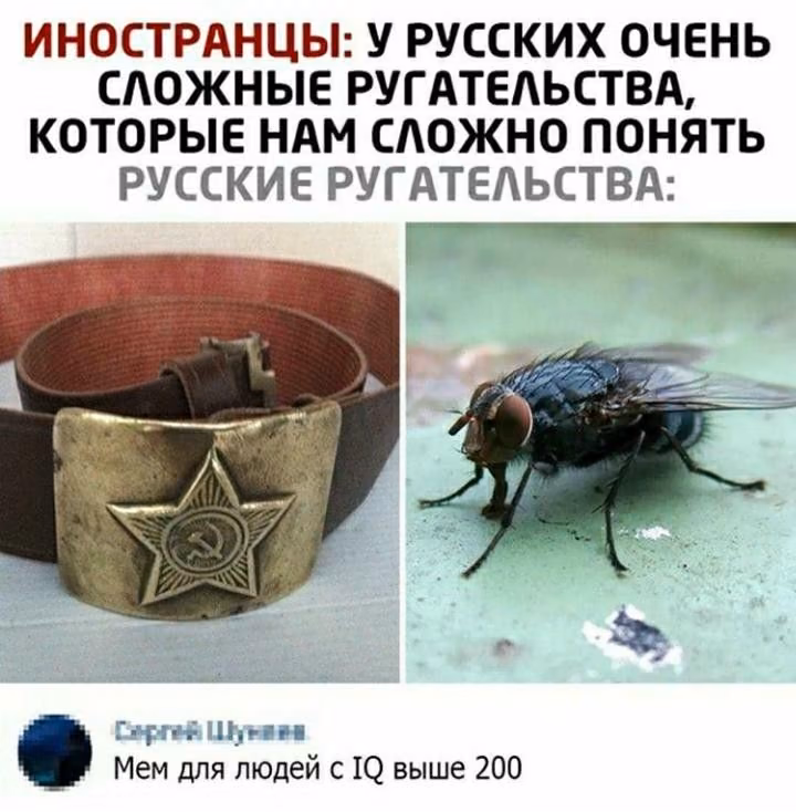 ea2e8b7a531a929a24aaa5c98a7fb5da.jpg