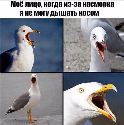 ea3cfb110b78610d1a1c822fb4d77ed9.jpg