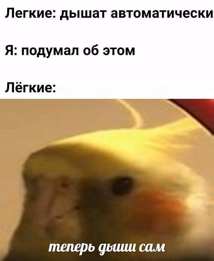 ea4eb2e4e24d5d4ae0b2c0e3eb4ed11c.avif