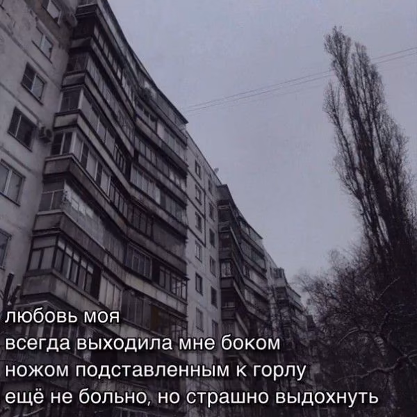 ea6681fa78a49463a741c82bdf8b48e9.jpg