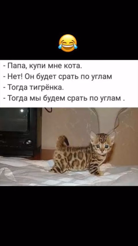 ea7cb0afde7fda0e12cbeb26b747c643.jpg