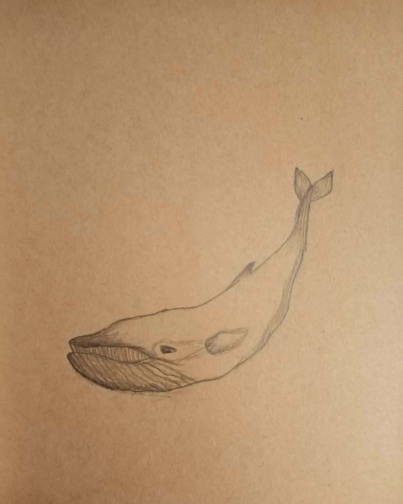 ea80c41a78a9e3a278ce9c9c75b96698.jpg