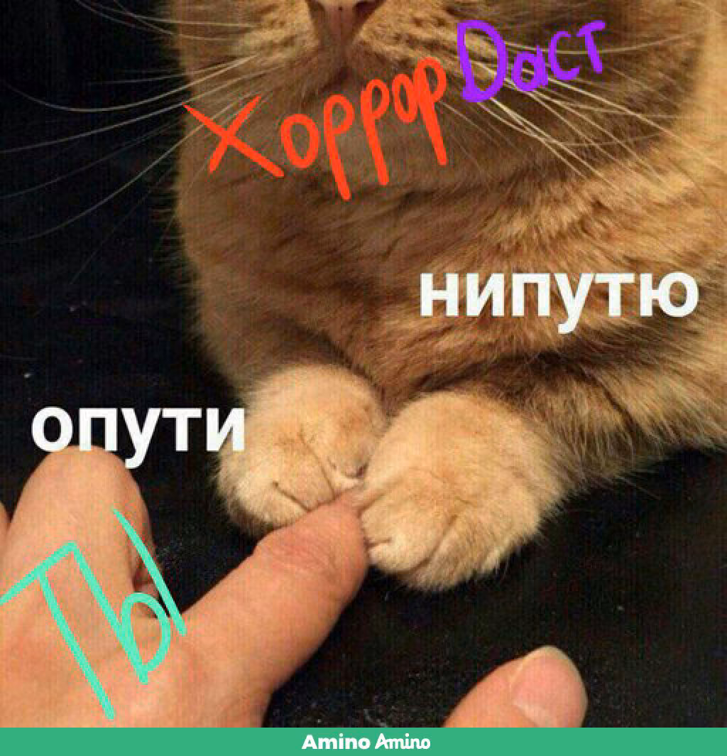 ea83a86b46af11b0c69de7f45c3df703.jpg