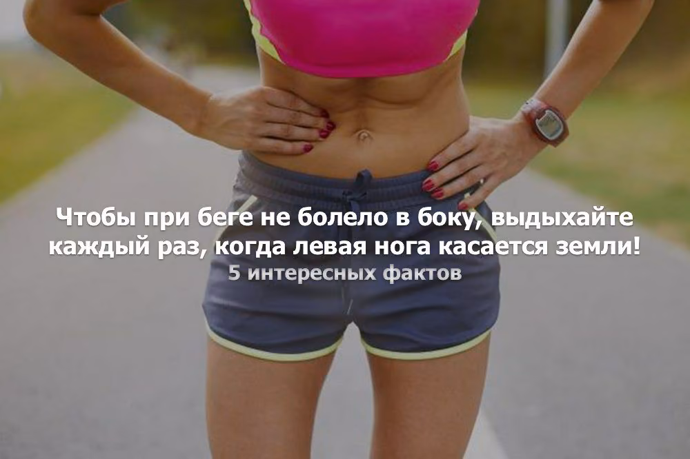 eaaa3f587615f60e20b581f3ade2f012.jpg
