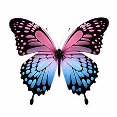 eab0bd2f10a7a2c88272f3be3e062971.avif