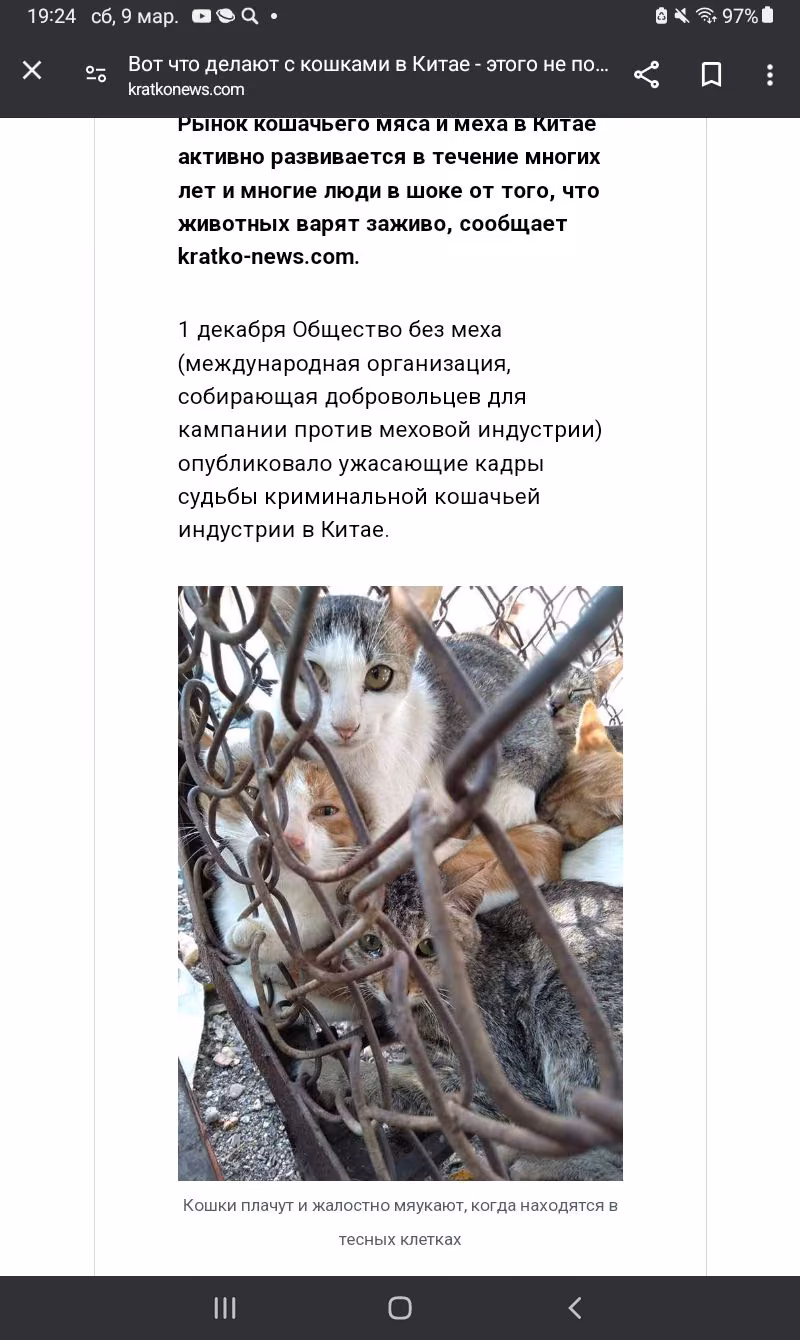 eac9c106a6702cd01563a2d42176fa0d.avif