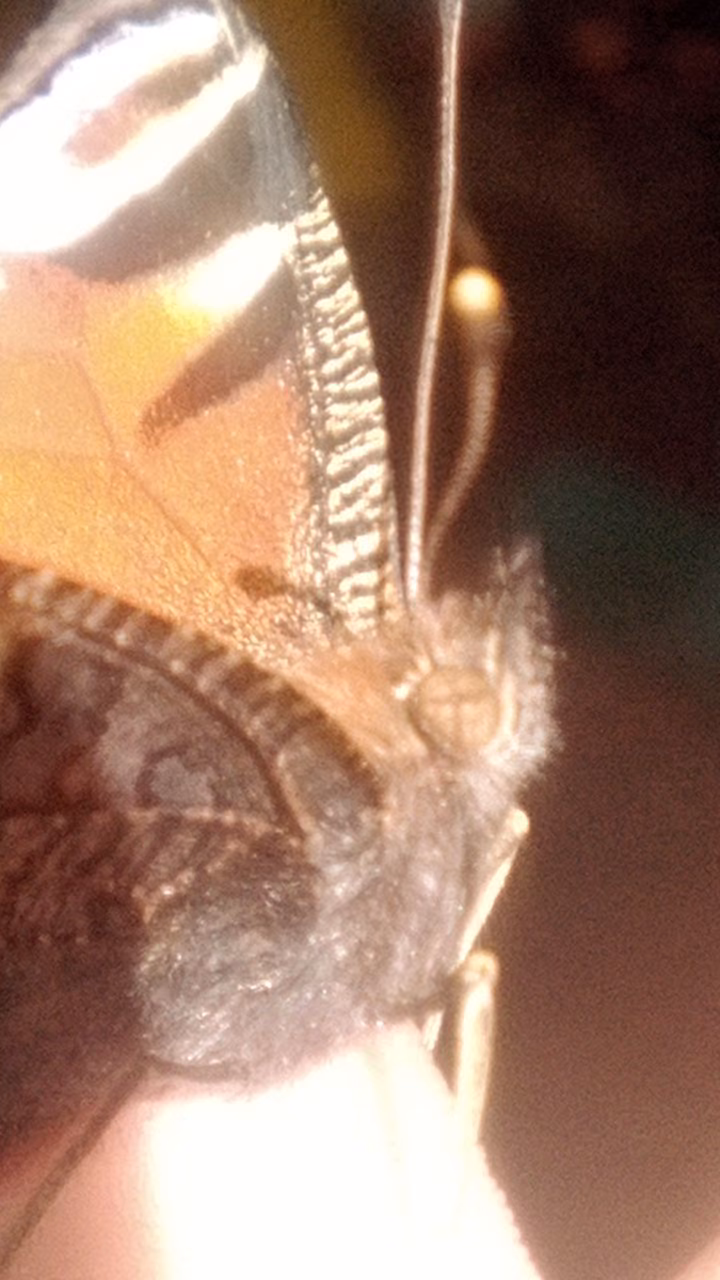 eacb43493cd522b81c9f48b4eb1633aa.jpg
